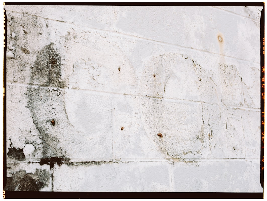 Flood Cleanup service in Tallahassee, FL